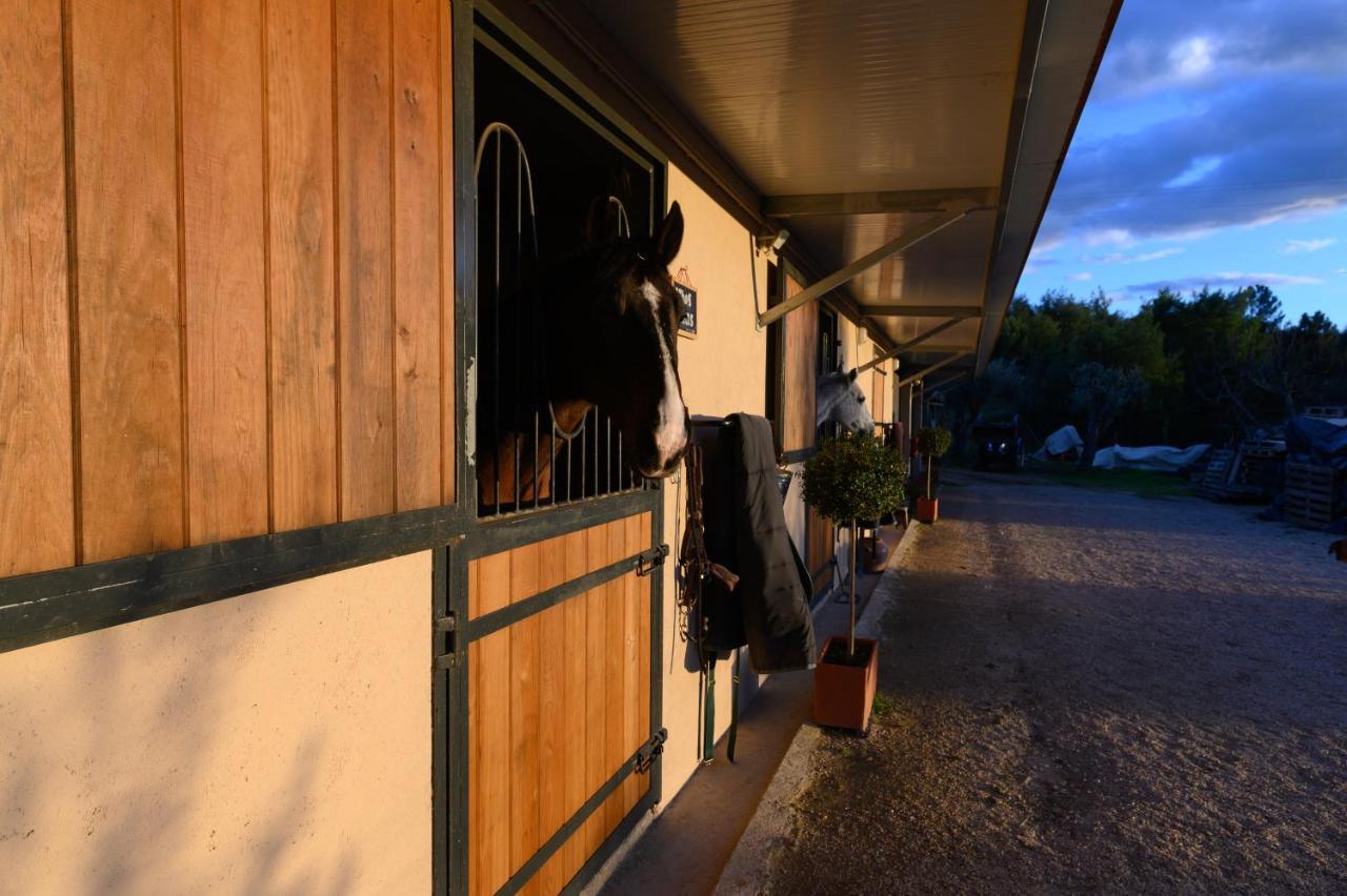 Laje Da Bica Agroturismo Covilhã Exterior foto